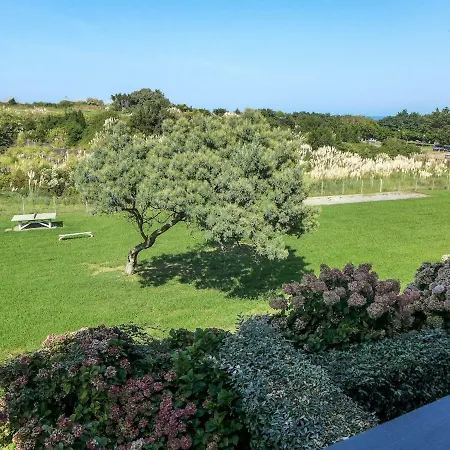 Erromardy - Irrintzina-10 Saint-Jean-de-Luz